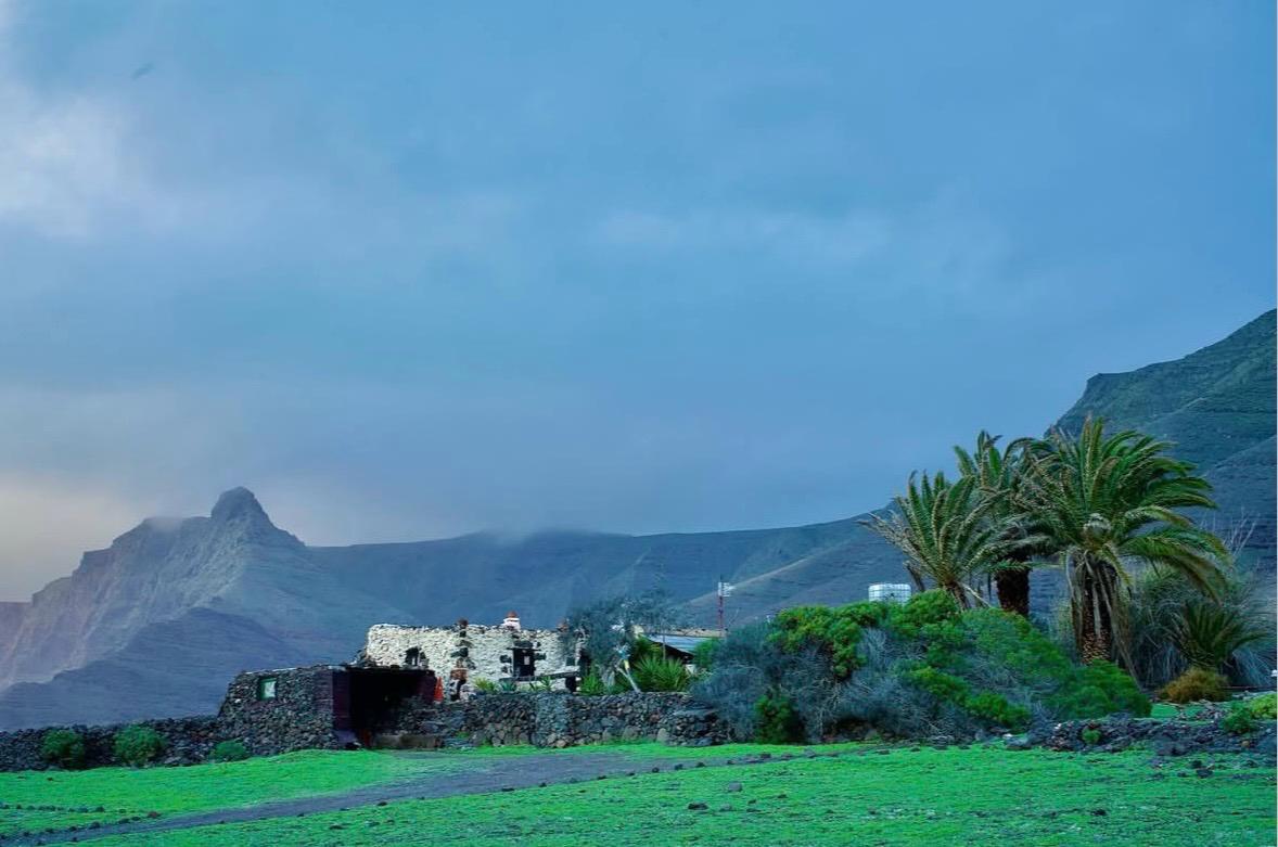 Imágenes del concurso de fotografía de La Voz. Foto: @saulbenitezhernandez