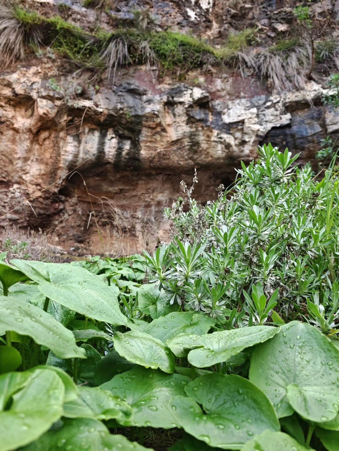 Imágenes del concurso de fotografía de La Voz. Foto: @zuleinacasanas