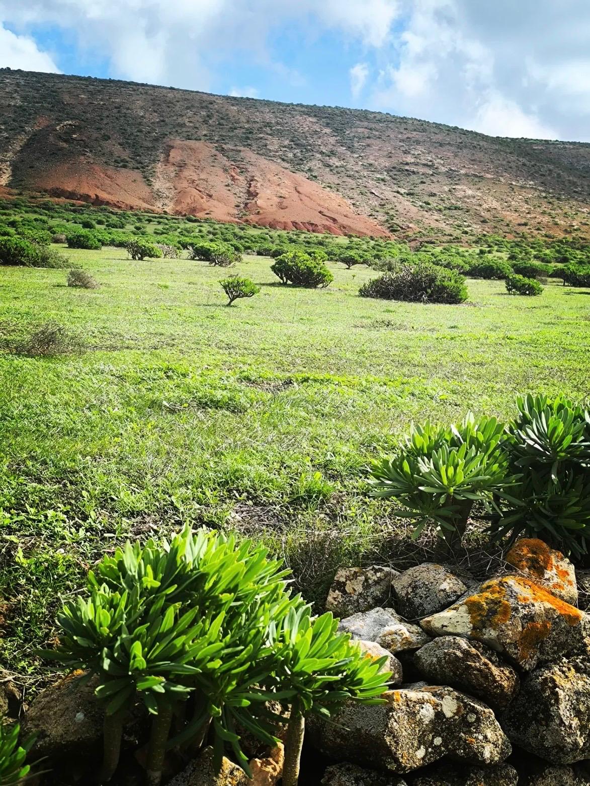 Imágenes del concurso de fotografía de La Voz. Foto: @antonio_lzt