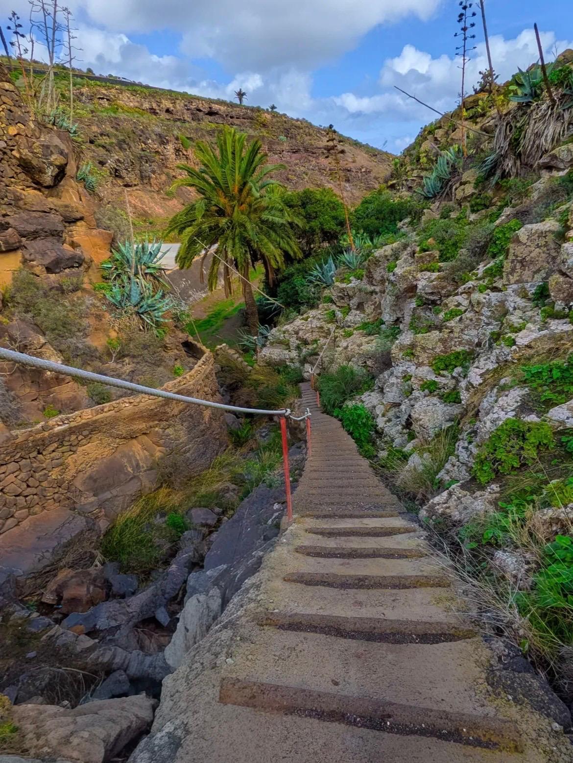 Imágenes del concurso de fotografía de La Voz. Foto: @pedroborges7