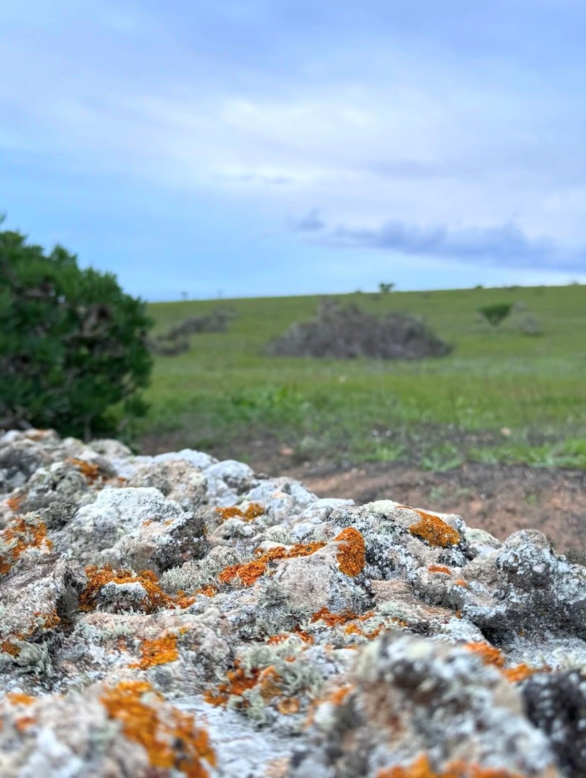 Imágenes del concurso de fotografía de La Voz. Foto: @supersupersuper