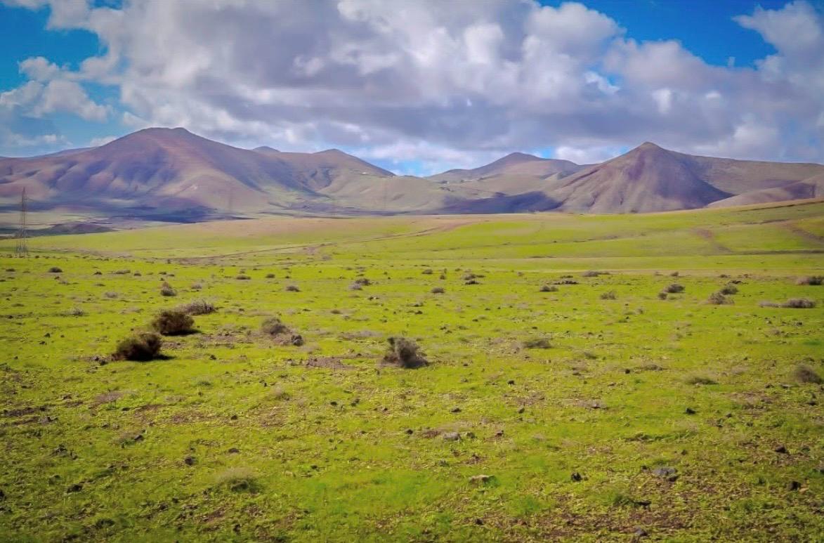 Imágenes del concurso de fotografía de La Voz. Foto: @mitcarliontour