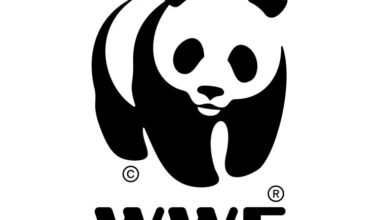 Incendios en la Patagonia: controlar hoy, prevenir mañana y restaurar el futuro