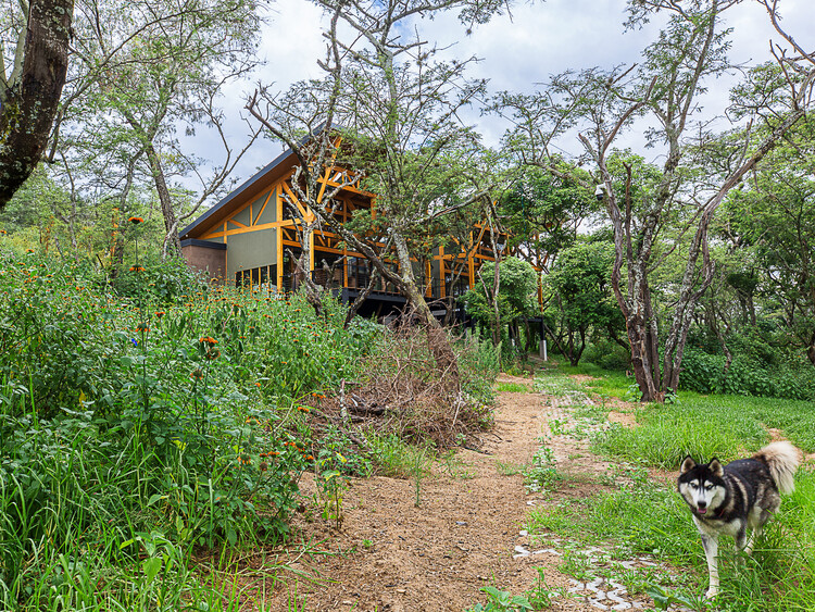 Casa en el Bosque  / Espinoza Carvajal Arquitectos - Fotografía exterior, Madera