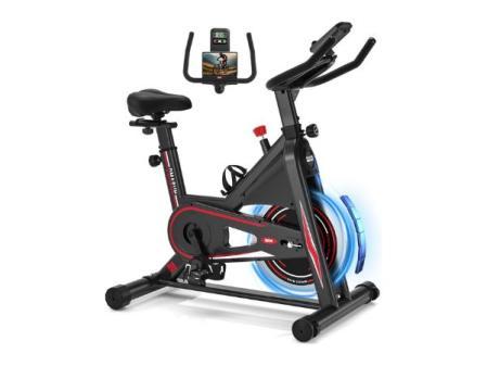 DMASUN Bicicleta Estática en Casa con Resistencia Ajustable, Bicicleta Estatica Silenciosa con Monitor LCD, Cómodo Cojín de Asiento, Capacidad de 160/180 kg, Entrenamiento Aeróbico