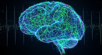 Expertos analizaron los beneficios de