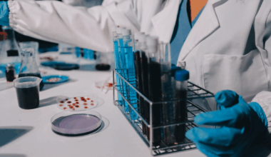 La terapia con interleucina 2 podría mejorar los desenlaces en el trasplante hematopoyético