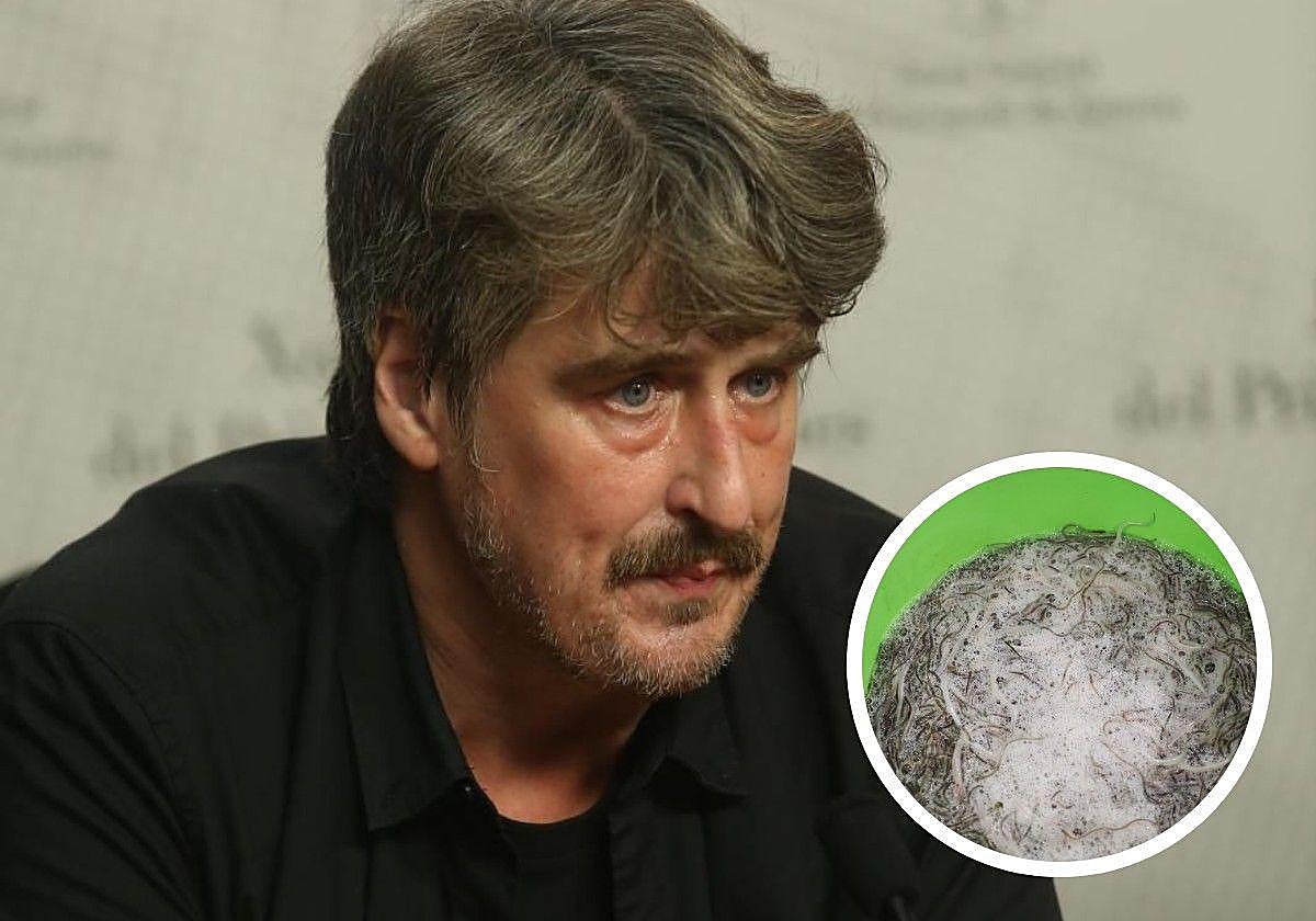 Xabel Vegas, diputado de Sumar Asturies: «Hoy en día consumir angula es un disparate ecológico, como comerte un urogallo asado»