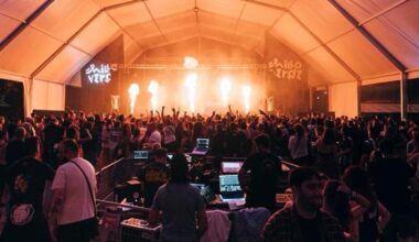 El público disfruta de uno de los conciertos del Festival Millo Verde en Cesantes.