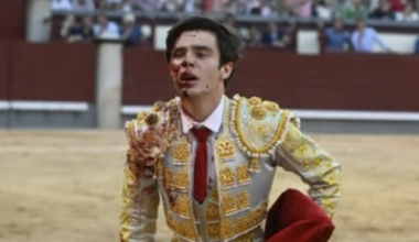 La valentía del torero catalán Mario Vilau en la Feria de San Isidro: "Terminó la faena con una cornada de 15 centímetros"