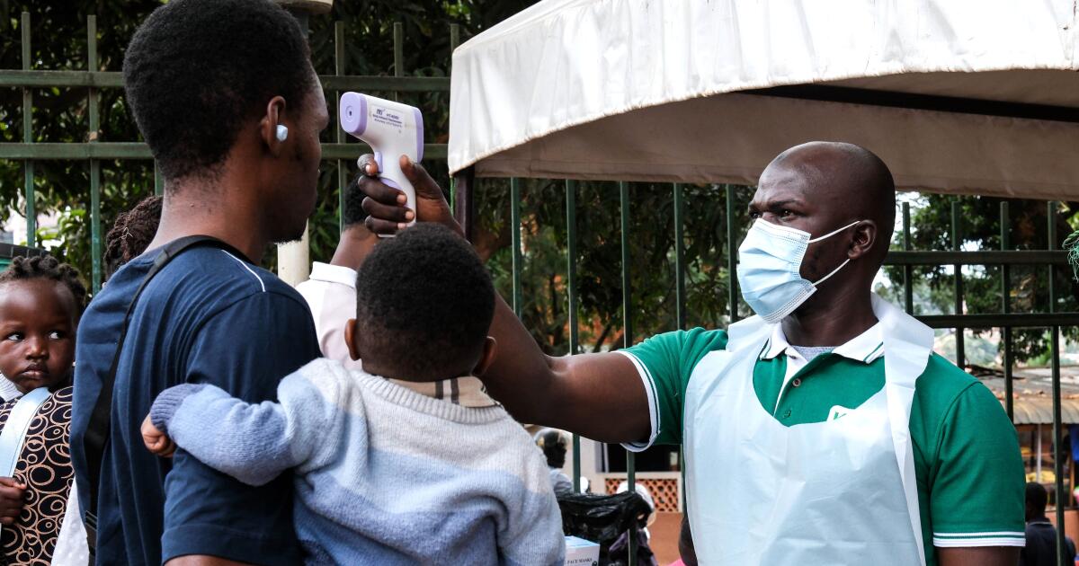 Qué saber sobre el virus Bundibugyo, una especie del ébola que causa un brote en Congo