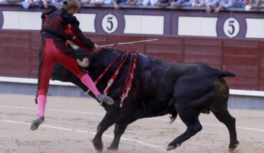 El torero francés Clemente sufre una aparatosa cogida en Las Ventas de Madrid