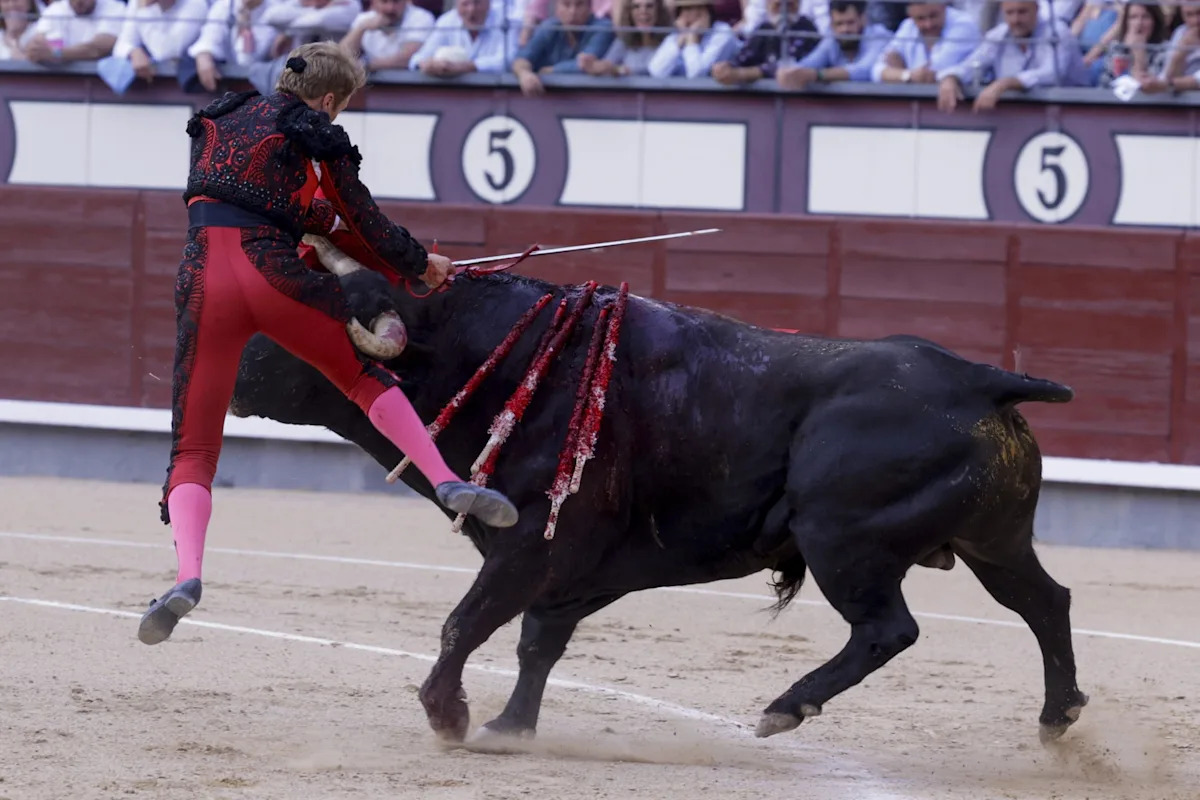 El torero francés Clemente sufre una aparatosa cogida en Las Ventas de Madrid