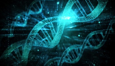 Fármacos epigenéticos controlan el crecimiento del tumor rabdoide maligno