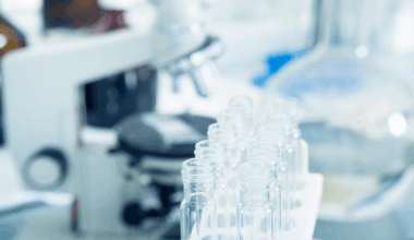 Un ADC dirigido a TROP2 muestra beneficio clínico en cáncer de endometrio avanzado