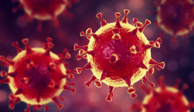 Un nuevo virus oncolítico frena el avance del glioblastoma en un modelo animal
