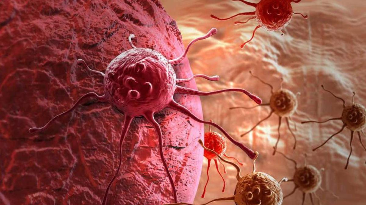 Cómo el cáncer aprende a sobrevivir sin oxígeno