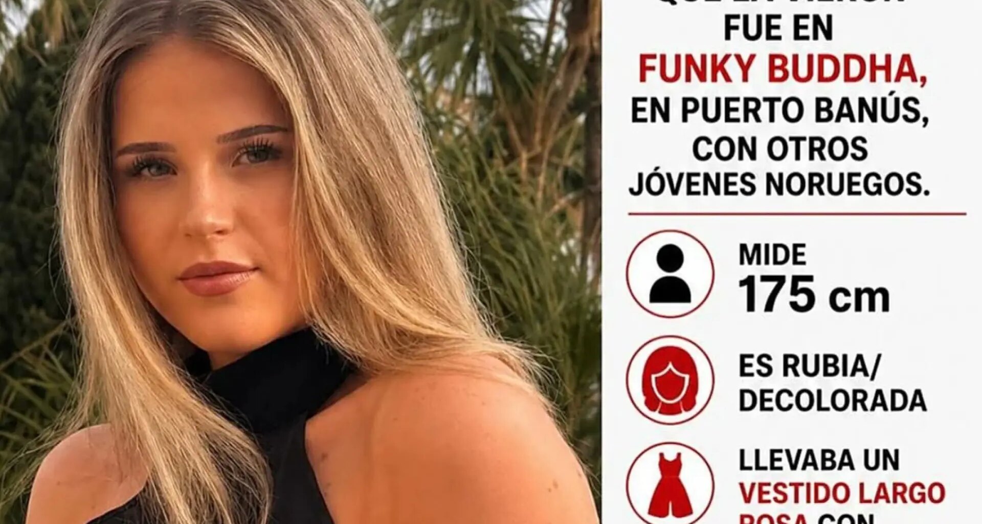 El detenido habría limpiado su furgoneta con lejía horas después del atropello mortal de Nikoline, la joven noruega