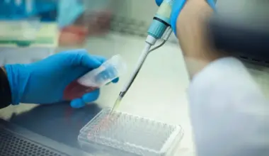 El ECDC alerta del aumento de cepas de gonorrea resistentes a ceftriaxone en Europa