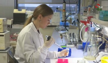 La investigación riojana da un paso adelante en la lucha contra el cáncer de páncreas metastásico - La Rioja