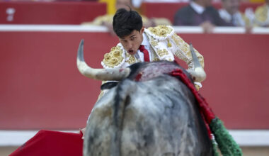 Galván y Diosleguarde pasean trofeos de una manejable corrida de Cebada Gago en Pamplona