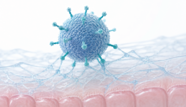 Diseñan nanopartículas mucoadhesivas con actividad en modelos de inflamación 