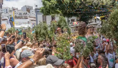 Televisión Canaria retransmite en directo la Bajada de La Rama al ritmo de las bandas de Agaete y Guayedra
