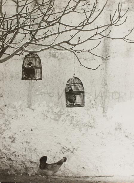 Oriol Maspons. Fue un renovador de la fotografía española en los años cincuenta y sesenta. Como defensor de la utilidad de la imagen por encima de su valor artístico, exploró el reportaje, el retrato, la moda y la publicidad, captando con personalidad los cambios de su época. Esta foto se titula ‘La caza de la perdiz roja’