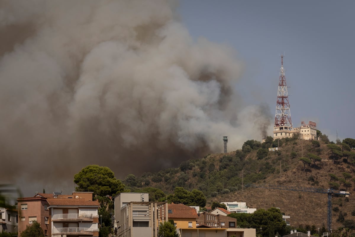 La Guardia Urbana detiene a un hombre por su presunta relación con el incendio de Collserola | Noticias de Cataluña