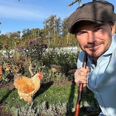 Un rural David Beckham en su finca de los Costwolds.