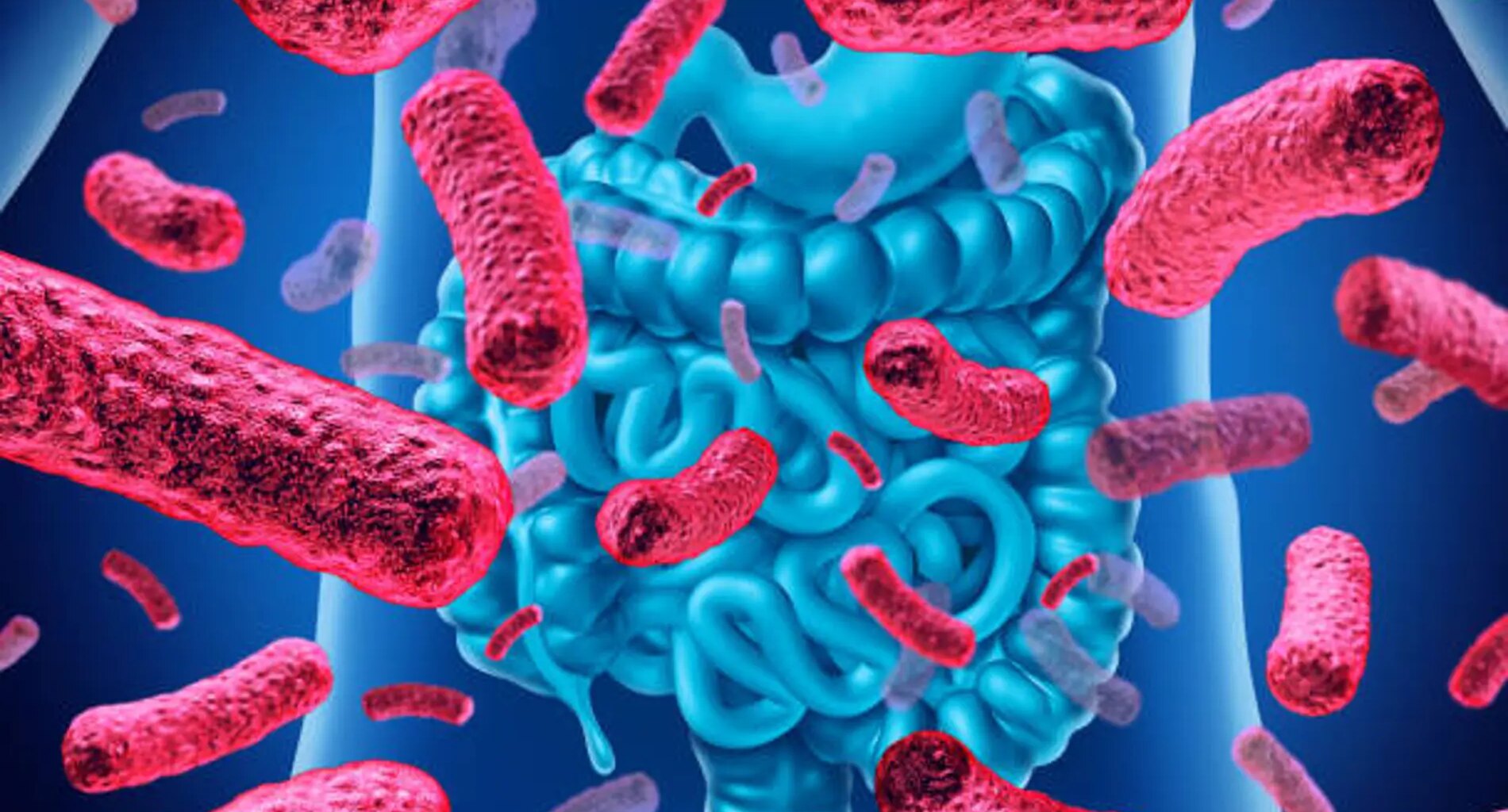 Descubren nuevas pistas sobre la relación entre las bacterias intestinales y el cáncer antes de los 50 años