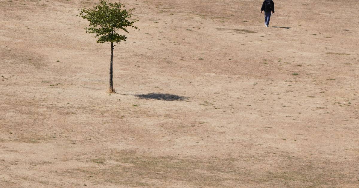Klimadaten von Copernicus: So heiß wie nie zuvor – Rekordsommer in Europa