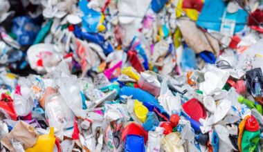 Kampf gegen den Plastikmüll — EU führt schrittweise neue Regeln ein