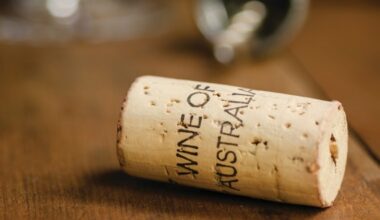 Trade deal levels playing field for Australian wine - Drinks International