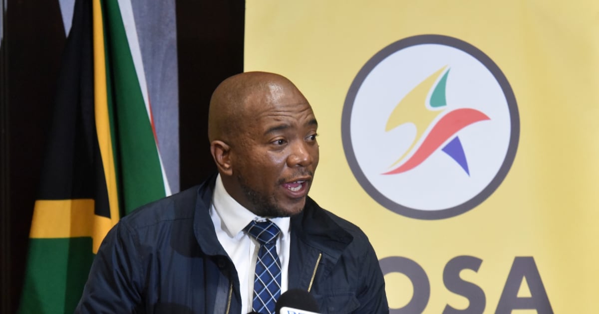POLITICAL WEEK AHEAD: EU parliament delegation visits SA to deepen strategic ties