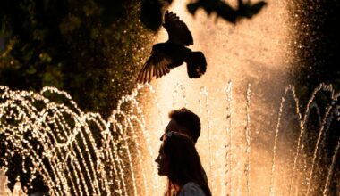 France records around 1,000 additional deaths as extreme heat sets European records