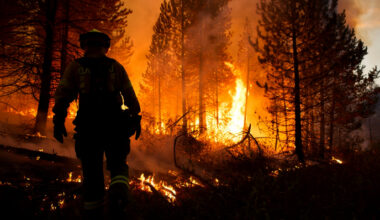 Strengthening wildfire response across borders | News | CORDIS