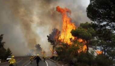 Forest Fire Danger Doubled in Southern Europe over Last 30 Years: Study