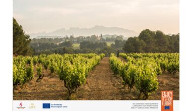 D.O. Cava to showcase European leadership, gastronomic versatility and Sustainability at TEXSOM 2026