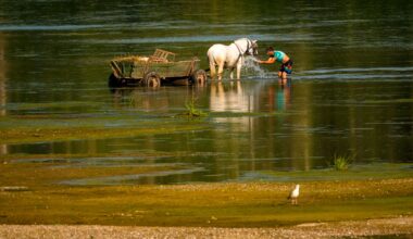 Central Europe swelters and Slovakia and Austria hit their record high temperatures
