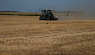 A punishing European drought shrivels crops from Dutch potatoes to Bosnian corn