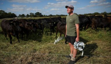 As Europe bakes, momentum grows for climate-resilient farming