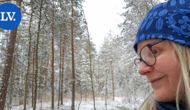 Hanna-Leena Ylistä on purtu, lyöty ja heitetty hiekalla kesken työpäivän – "Minun osaltani tämä on nyt nähty" | Paikalliset