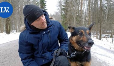 Poliisi | Rikollisten kirjat saivat Pekka Kuparisen kirjoittamaan Jönssi-koiran keikoista – "On hyvä lyödä välillä vähän kiilaa väliin" | Paikalliset
