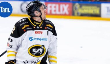 Mitä ihmettä? – Marko Anttila tekee uutta uraa tv-tähtenä, mukana jo toisessa sarjassa | Paikalliset