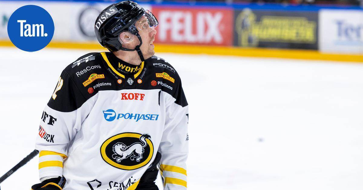 Mitä ihmettä? – Marko Anttila tekee uutta uraa tv-tähtenä, mukana jo toisessa sarjassa | Paikalliset