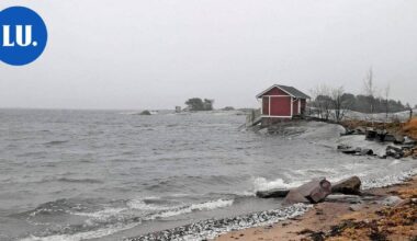 Ympäristö | Hangon tammikuisten kalakuolemien syy selvisi | Paikalliset