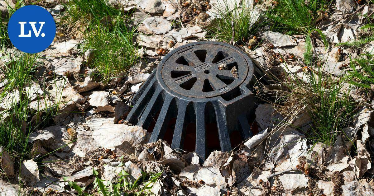 Ympäristö | Itämeri alkaa espoolaisesta kotipihasta – näin kaivoon pudotettu roska päätyy Suomenlahteen | Paikalliset