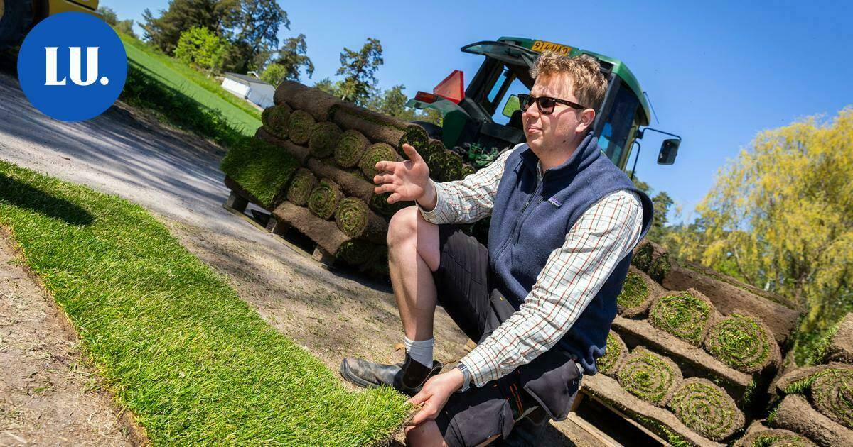 Ympäristö | Siuntiolaisella pellolla kasvaa täydellistä nurmea, jota on siirretty jopa Eduskuntatalon edustalle – Yhä useampi ostaa pihanurmen valmiina | Paikalliset