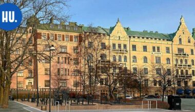 Helsingin arvoalueelle rakennetaan uusi ulkokuntosali – nämä laitteet sinne tulevat | Paikalliset